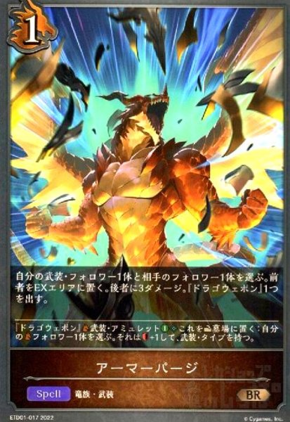 画像1: アーマーパージ (1)