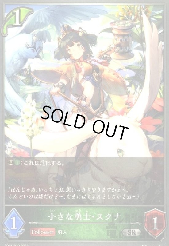 画像1: 小さな勇士・スクナ (1)