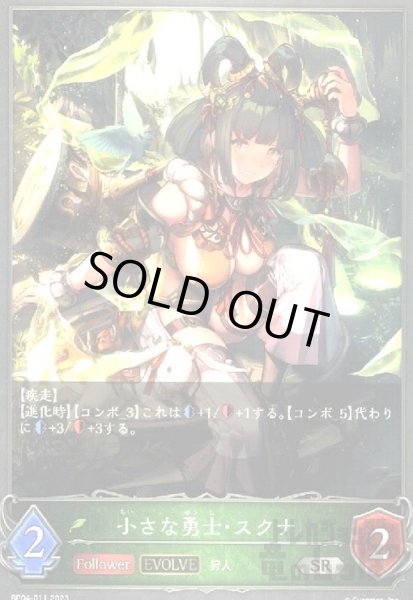 画像1: 小さな勇士・スクナ(EVOLVE) (1)