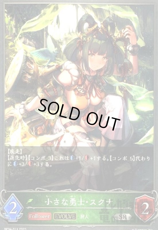 画像1: 小さな勇士・スクナ(EVOLVE) (1)