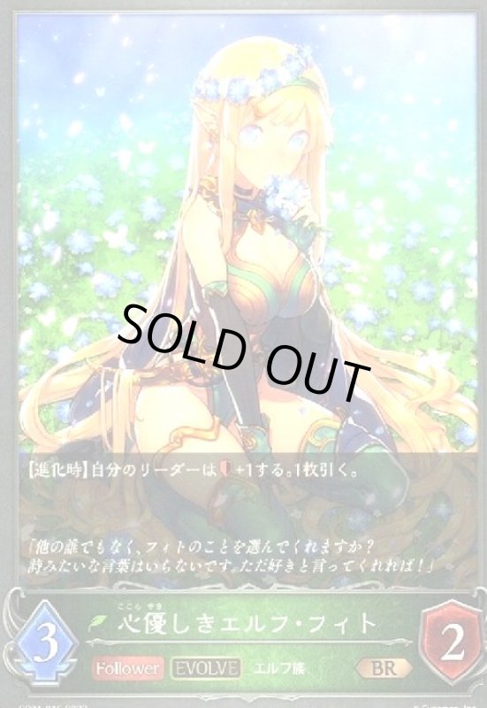 画像1: 心優しきエルフ・フィト(EVOLVE) (1)