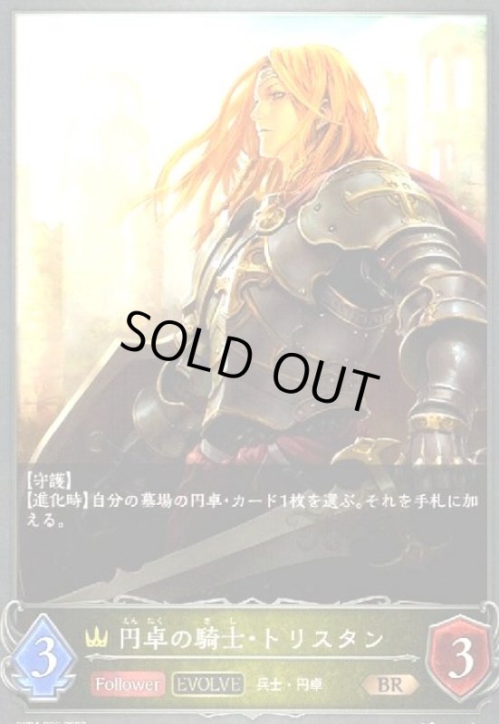 画像1: 円卓の騎士・トリスタン(EVOLVE) (1)