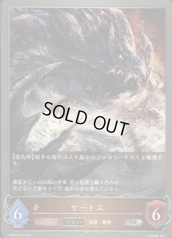 画像1: ケートス(EVOLVE) (1)