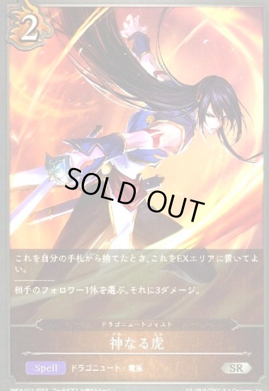 画像1: 神なる虎 (1)