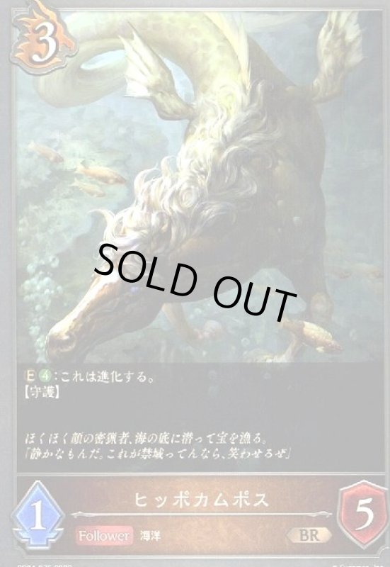 画像1: ヒッポカムポス (1)