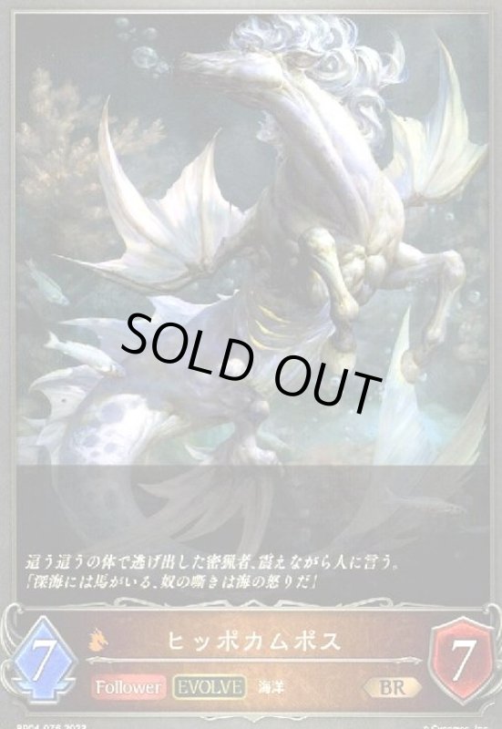 画像1: ヒッポカムポス(EVOLVE) (1)