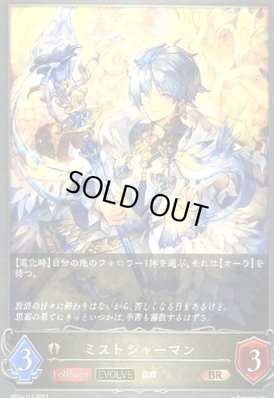 画像1: ミストシャーマン(EVOLVE) (1)