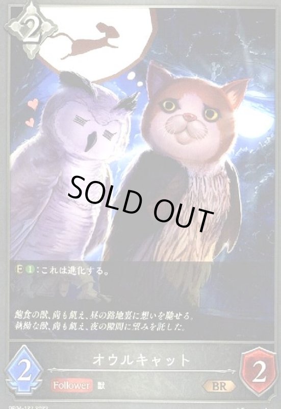 画像1: オウルキャット (1)