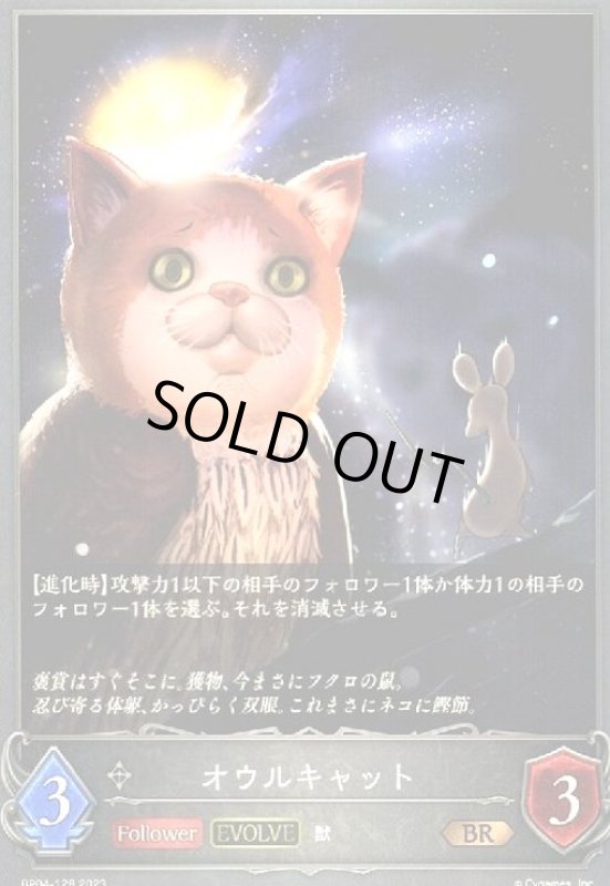 画像1: オウルキャット(EVOLVE) (1)