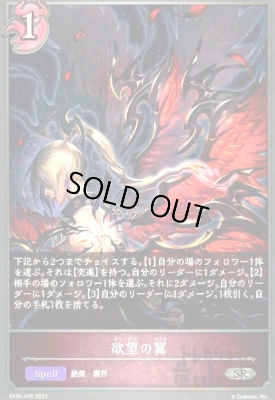 画像1: 欲望の翼 (1)