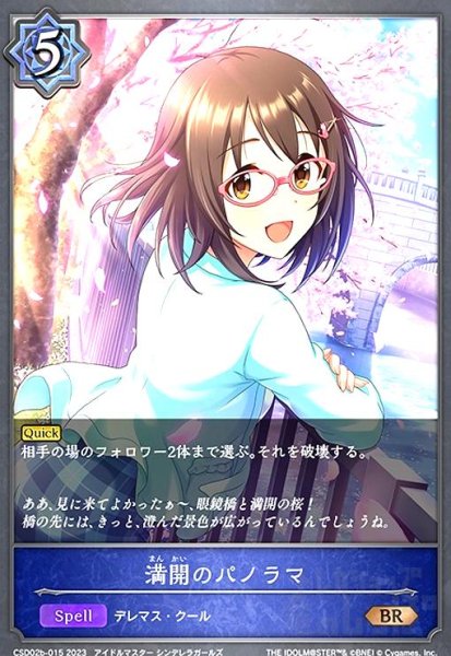 画像1: 満開のパノラマ(BR)(CSD02b-015) (1)