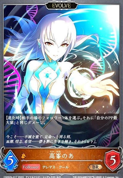 画像1: 高峯のあ(BR)(CSD02b-017)(EVOLVE) (1)