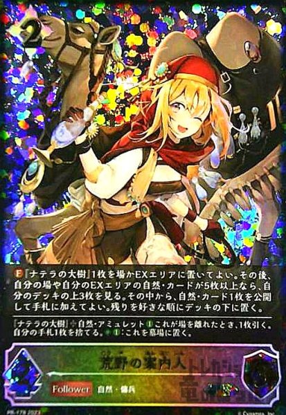 画像1: 荒野の案内人(PR)(PR-178) (1)