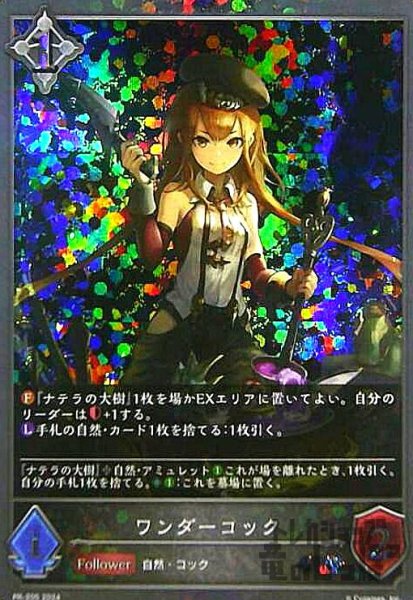 画像1: ワンダーコック(PR)(PR-205) (1)