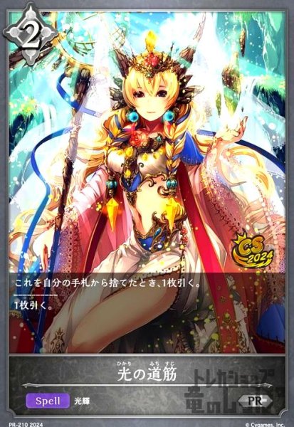 画像1: 光の道筋(PR)(PR-210) (1)