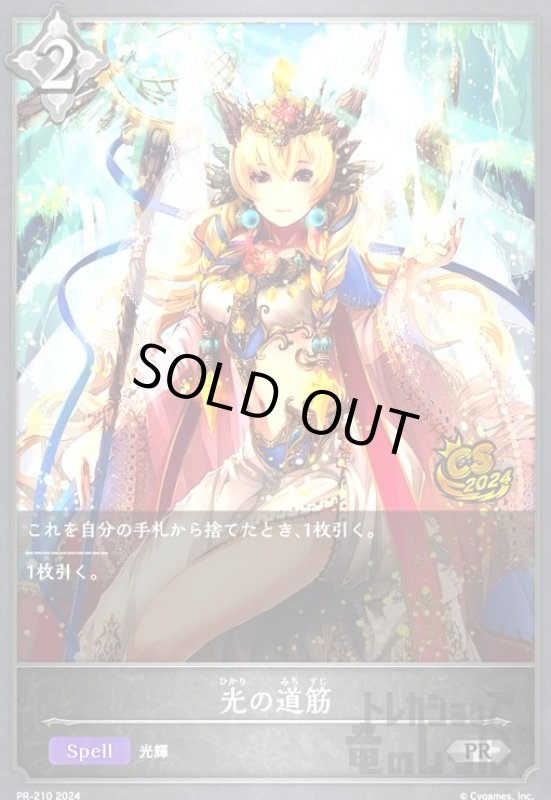 画像1: 光の道筋(PR)(PR-210) (1)
