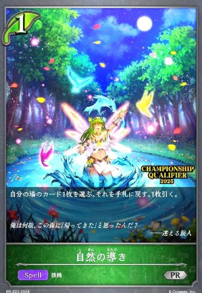 画像1: 自然の導き(PR)(PR-223) (1)