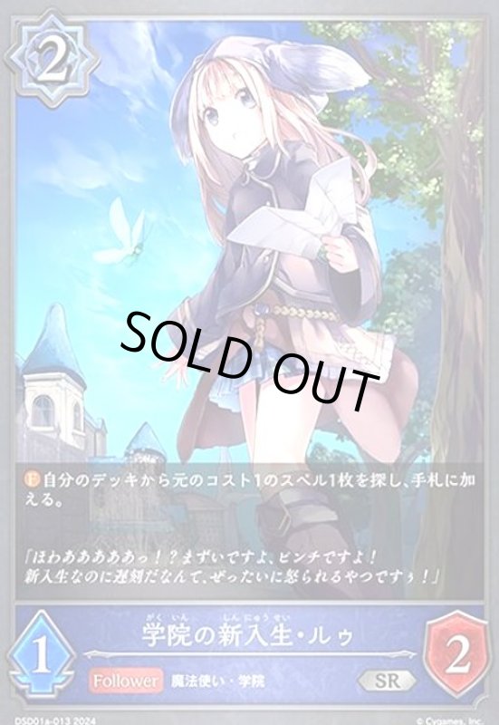 画像1: 学院の新入生・ルゥ(SR)(DSD01a-013) (1)