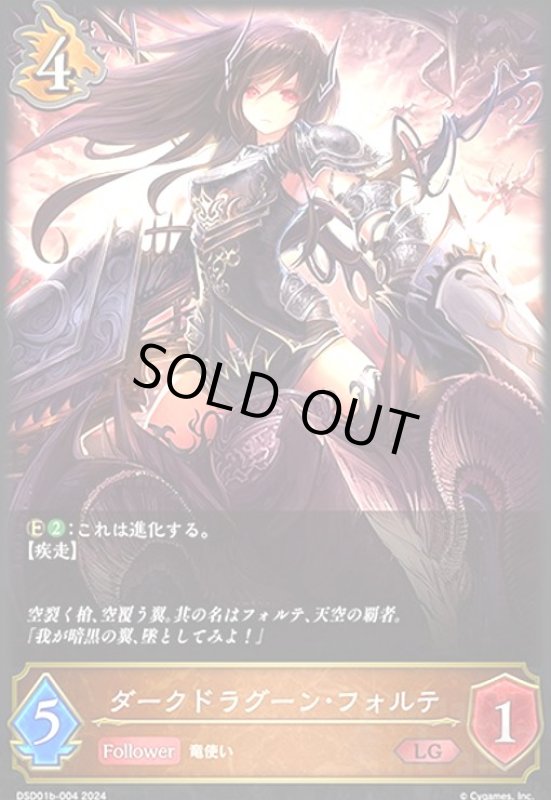 画像1: ダークドラグーン・フォルテ(LG)(DSD01b-004) (1)