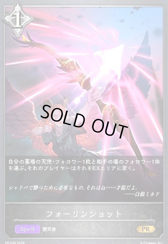 画像1: フォーリンショット(PR)(PR-246) (1)