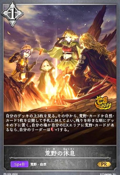 画像1: 荒野の休息(CS2024ロゴ)(PR)(PR-324) (1)