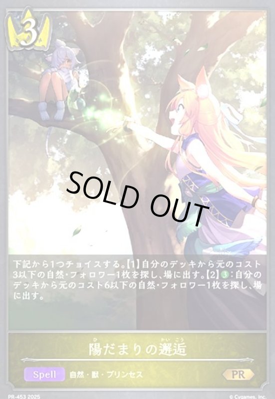 画像1: 陽だまりの邂逅(PR)(PR453) (1)