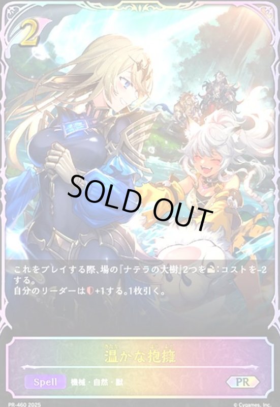 画像1: 温かな抱擁(PR)(PR460) (1)