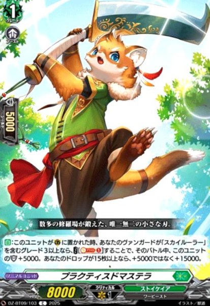 画像1: プラクティスドマステラ(C)(DZ-BT09/103) (1)