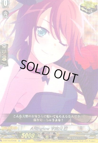 画像1: Afterglow×宇田川 巴(EX)(D-BT10/EX09) (1)