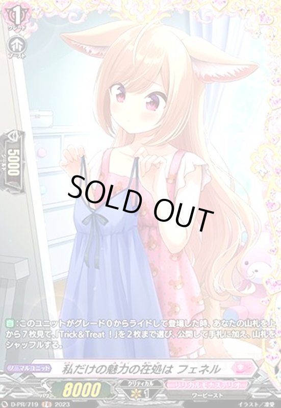 画像1: 私だけの魅力の在処はフェネル(PR)(D-PR/719) (1)