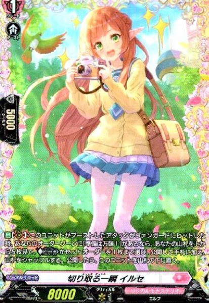 画像1: 切り取る一瞬 イルセ(FR)(D-LBT03/FR17) (1)