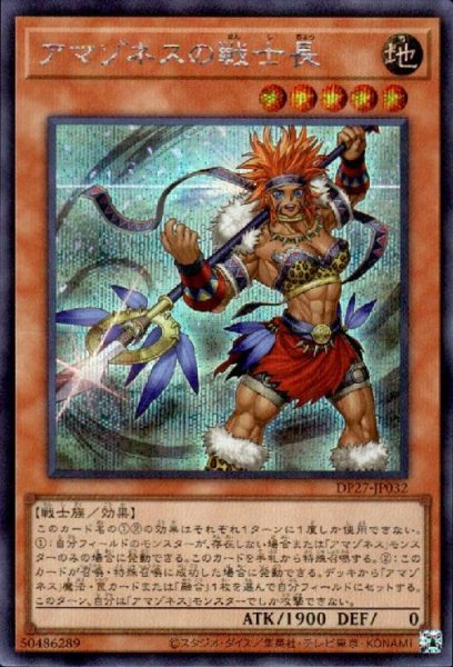 画像1: アマゾネスの戦士長【シークレット】 (1)