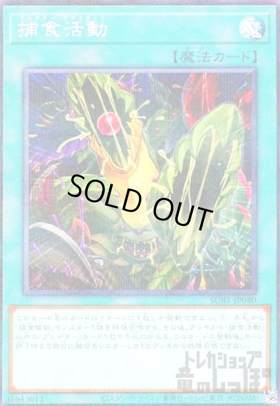 画像1: 捕食活動【ノーマルパラレル】 (1)