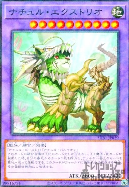 画像1: ナチュル・エクストリオ【ノーマルパラレル】 (1)