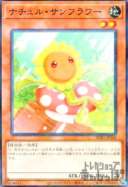 画像1: ナチュル・サンフラワー【ノーマルパラレル】 (1)