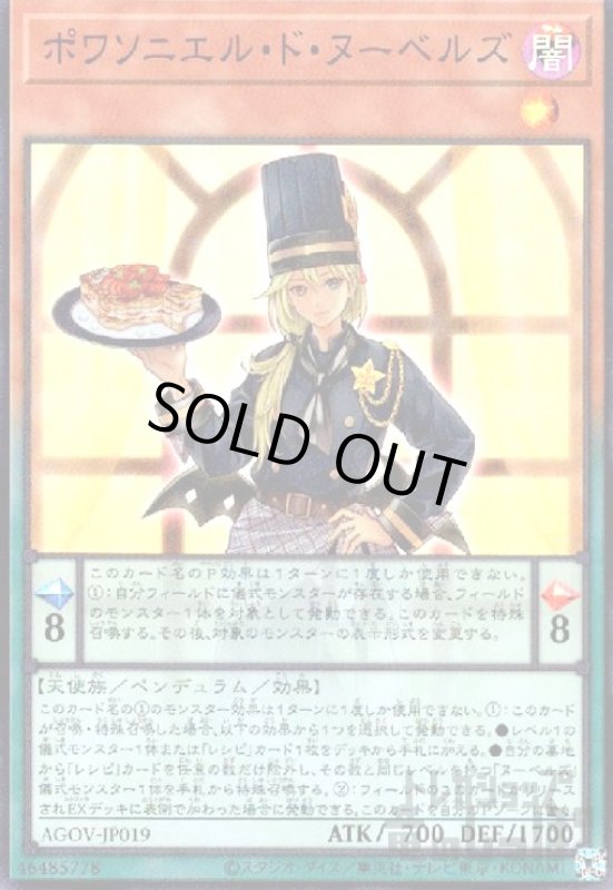 画像1: ポワソニエル・ド・ヌーベルズ【スーパー】 (1)