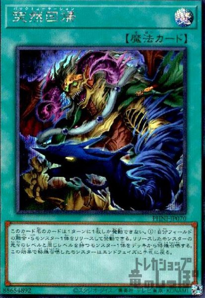 画像1: 突然回帰(シークレット) (1)