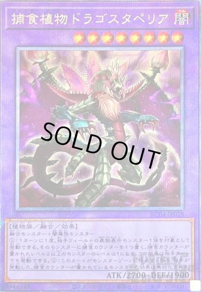 画像1: 捕食植物ドラゴスタペリア【25thレア】 (1)