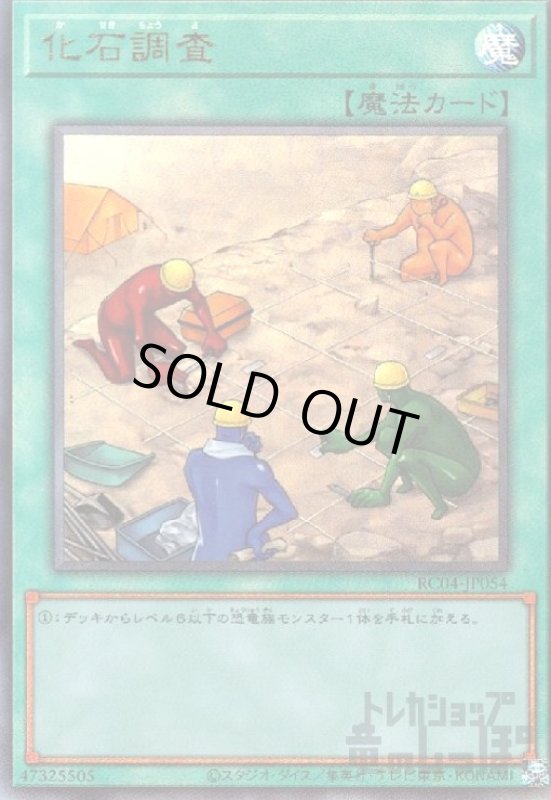 画像1: 化石調査【アルティメット】 (1)