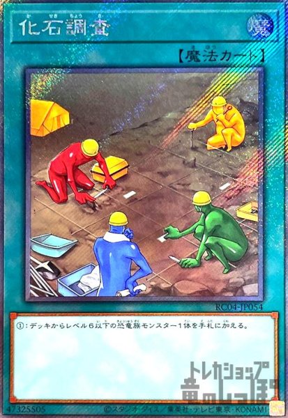 画像1: 化石調査【エクストラシークレット】 (1)