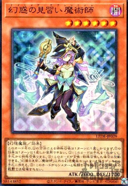 画像1: 幻惑の見習い魔術師(ウルトラ) (1)