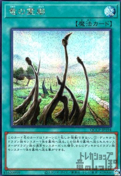 画像1: 竜の霊廟(シークレット)(QCCP-JP194) (1)