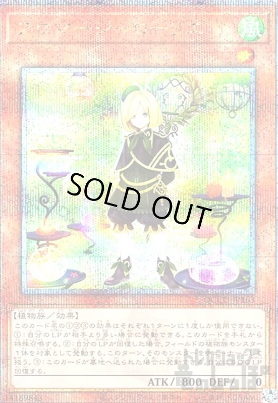 画像1: アロマージーローリエ(25thレア) (1)