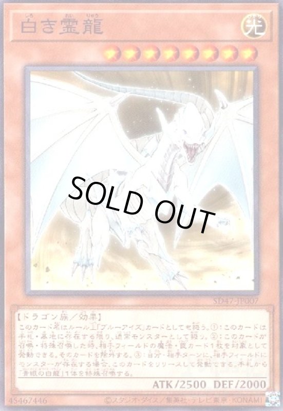 画像1: 白き霊龍(高価N) (1)