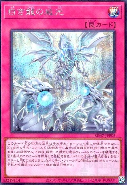画像1: 白き龍の威光(シークレット) (1)