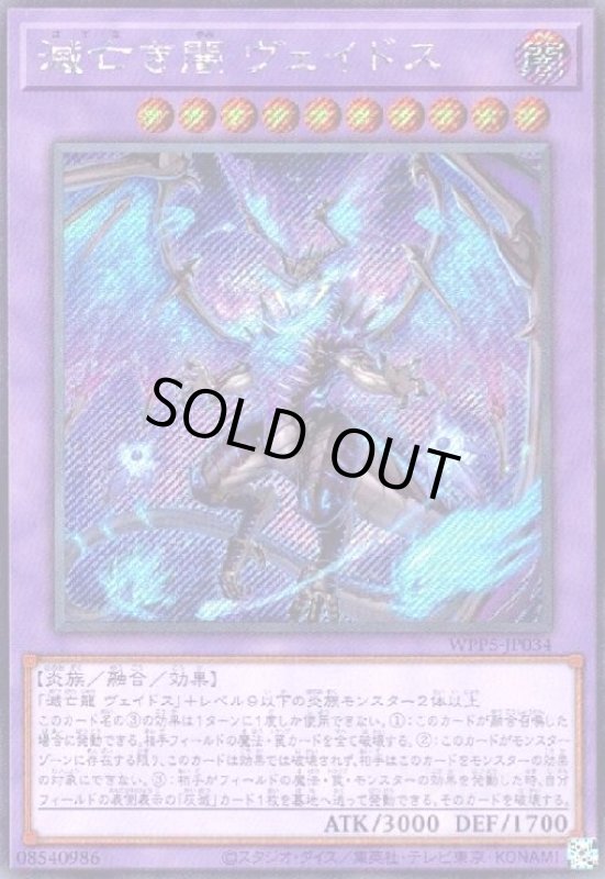 画像1: 滅亡き闇 ヴェイドス(シークレット) (1)