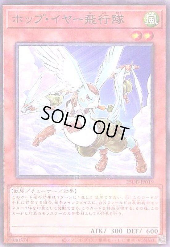 画像1: ホップ・イヤー飛行隊(ノーマルパラレル) (1)