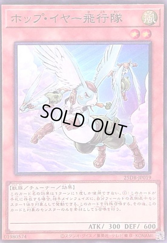 画像1: ホップ・イヤー飛行隊(スーパー) (1)