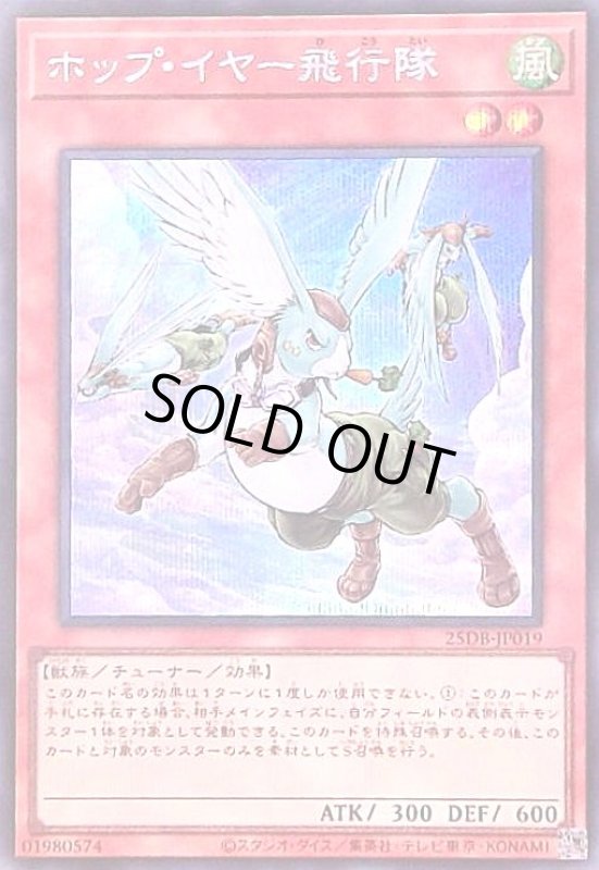 画像1: ホップ・イヤー飛行隊(シークレット) (1)