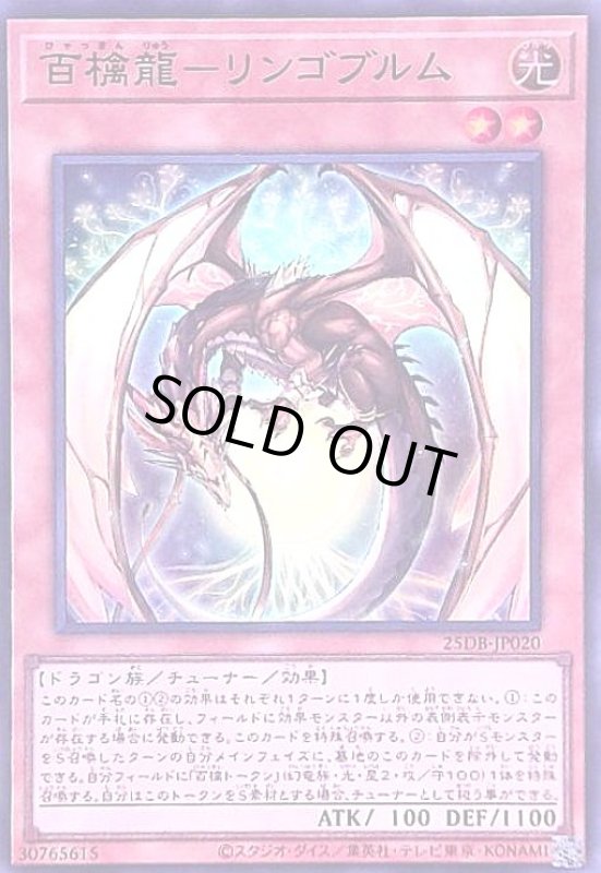 画像1: 百檎龍-リンゴブルム(スーパー) (1)